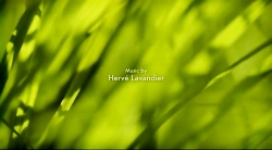 خیلی خیلی کوچک (2) (بیشتر جمع کن؛ بیشتر گرده افشانی کن)